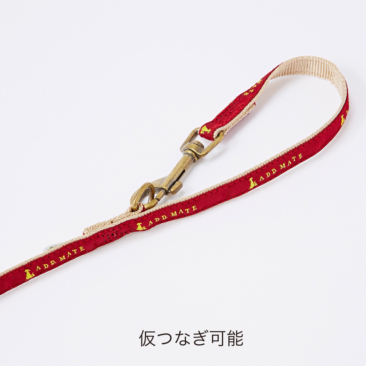 Amazon | アドメイト (ADD. MATE) シンボルリード Sサイズ ターコイズ